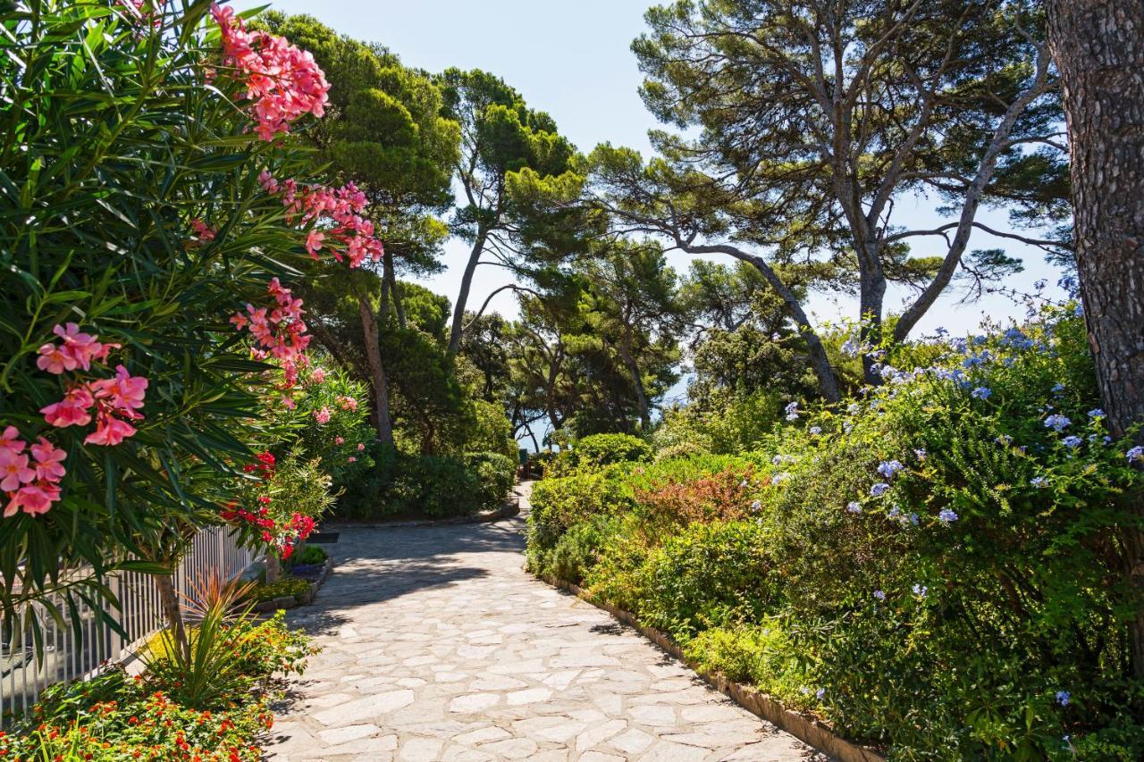 Parc Et Residence Le Provencal Hyères Eksteriør billede